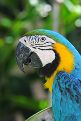 Similar image 403743