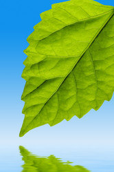 Similar image 403752