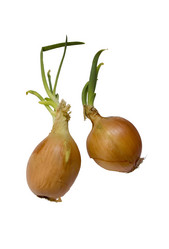 Similar image 403753