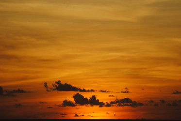 Similar image 403784