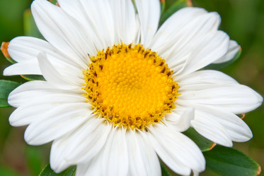 Similar image 403787