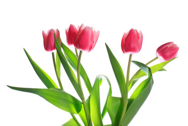 Similar image 403802