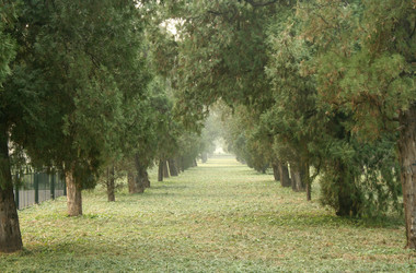 Similar image 403823