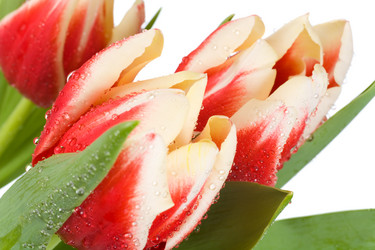 Similar image 403848