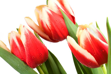 Similar image 403852