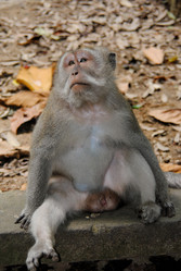 Similar image 403868