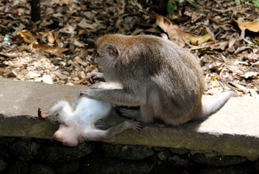 Similar image 403869