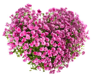 Similar image 403877