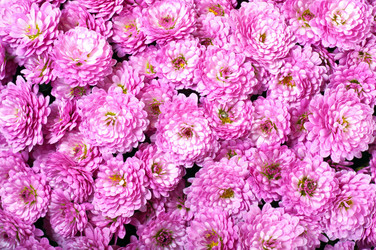 Similar image 403895