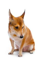 Similar image 403902