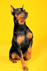 Similar image 403903