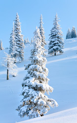 Similar image 403946