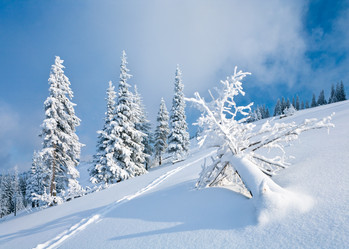 Similar image 403950