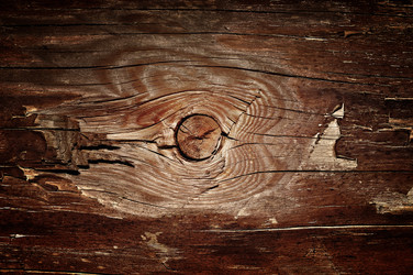 Similar image 403952