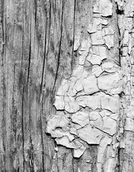 Similar image 403968