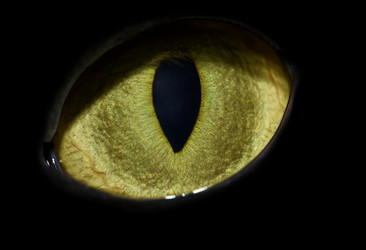 Similar image 403986