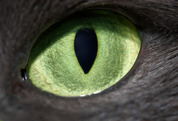 Similar image 403987