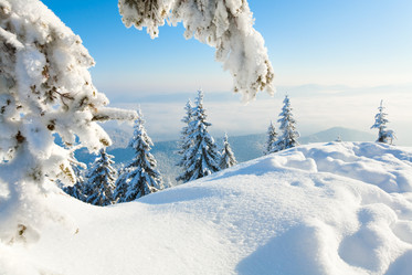 Similar image 403989