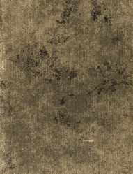 Similar image 404000