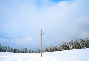 Similar image 404003