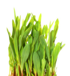 Similar image 404064