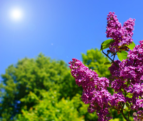 Similar image 404075