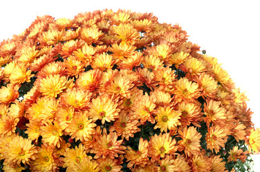 Similar image 404108