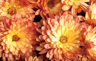 Similar image 404111