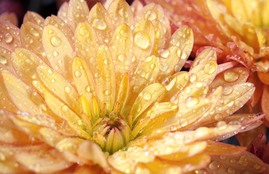 Similar image 404117