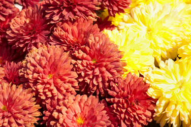 Similar image 404123