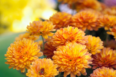 Similar image 404126