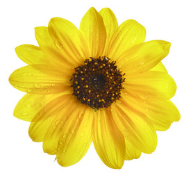 Similar image 404128