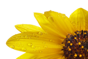 Similar image 404129