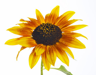 Similar image 404130