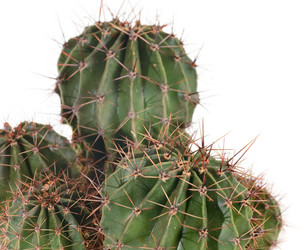 Similar image 404147