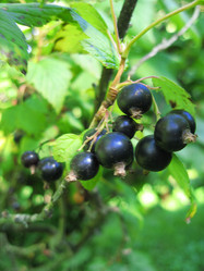 Similar image 404148