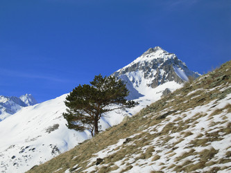 Similar image 404154