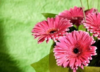 Similar image 404157