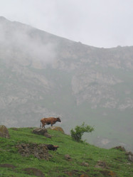 Similar image 404159