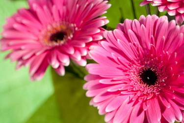 Similar image 404162