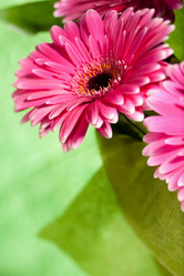 Similar image 404164