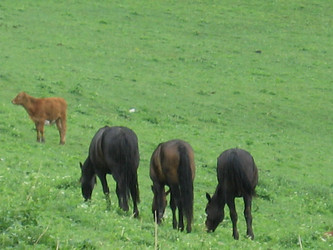 Similar image 404165