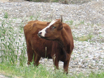 Similar image 404167