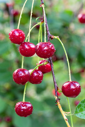 Similar image 404175