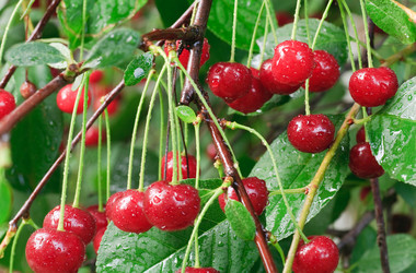 Similar image 404178