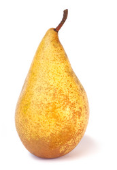 Similar image 404187