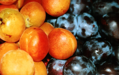 Similar image 404249