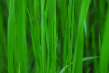 Similar image 404253