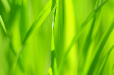 Similar image 404254