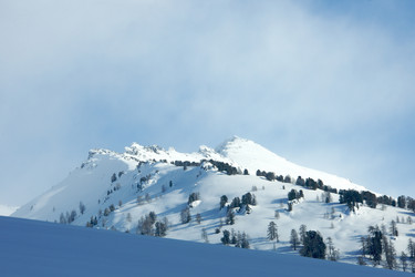 Similar image 404266